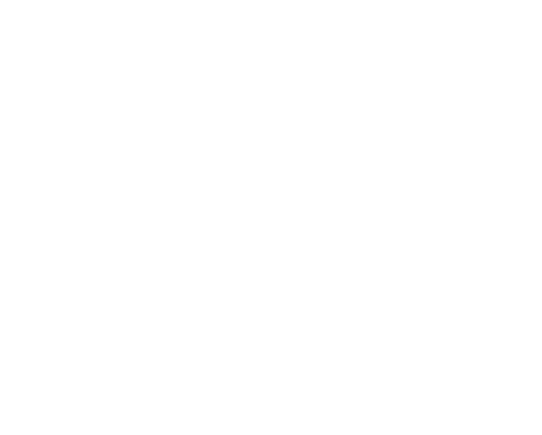 Rank Visibility Logo